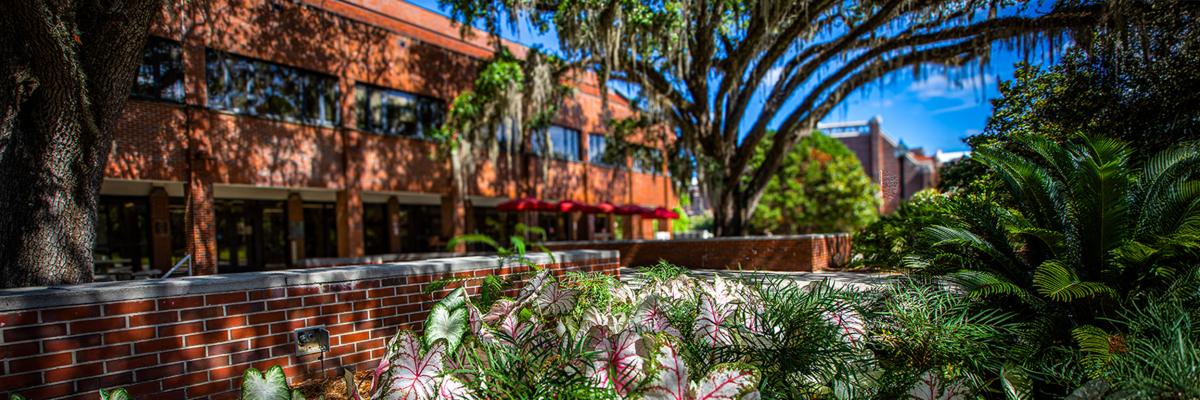 Image of the exterior of FSU's Louis Shores Building